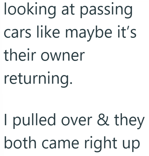 looking at passing cars like maybe it's their owner returning. I pulled over & they both came right up