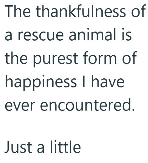 The thankfulness of a rescue animal is the purest form of happiness I have ever encountered. Just a little