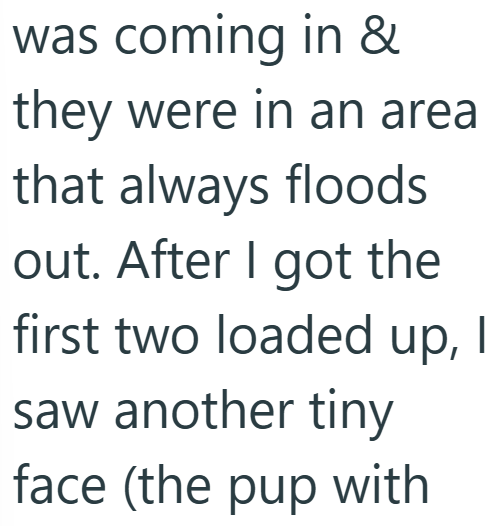 was coming in & they were in an area that always floods out. After I got the first two loaded up, I saw another tiny face (the pup with