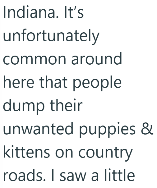 Indiana. It's unfortunately common around here that people dump their unwanted puppies & kittens on country roads. I saw a little