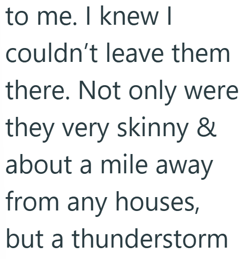 to me. I knew I couldn't leave them there. Not only were they very skinny & about a mile away from any houses, but a thunderstorm