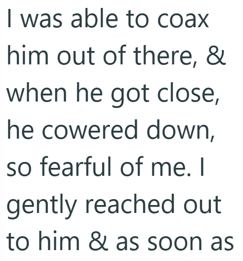 I was able to coax him out of there, & when he got close, he cowered down, so fearful of me. I gently reached out to him & as soon as