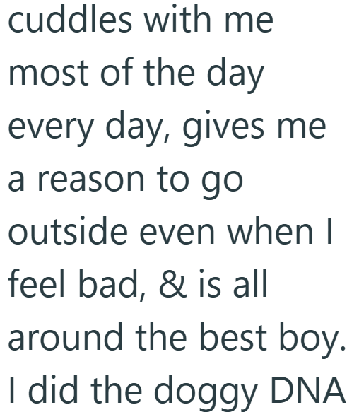 cuddles with me most of the day every day, gives me a reason to go outside even when I feel bad, & is all around the best boy. I did the doggy DNA
