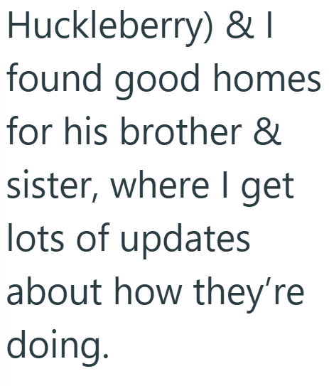 Huckleberry) & I found good homes for his brother & sister, where I get lots of updates about how they're doing.