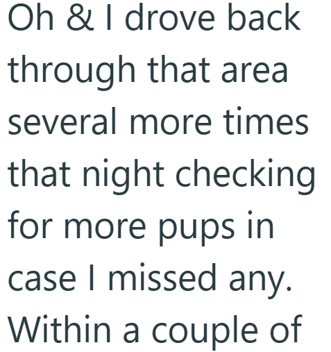 Oh & I drove back through that area several more times that night checking for more pups in case I missed any. Within a couple of