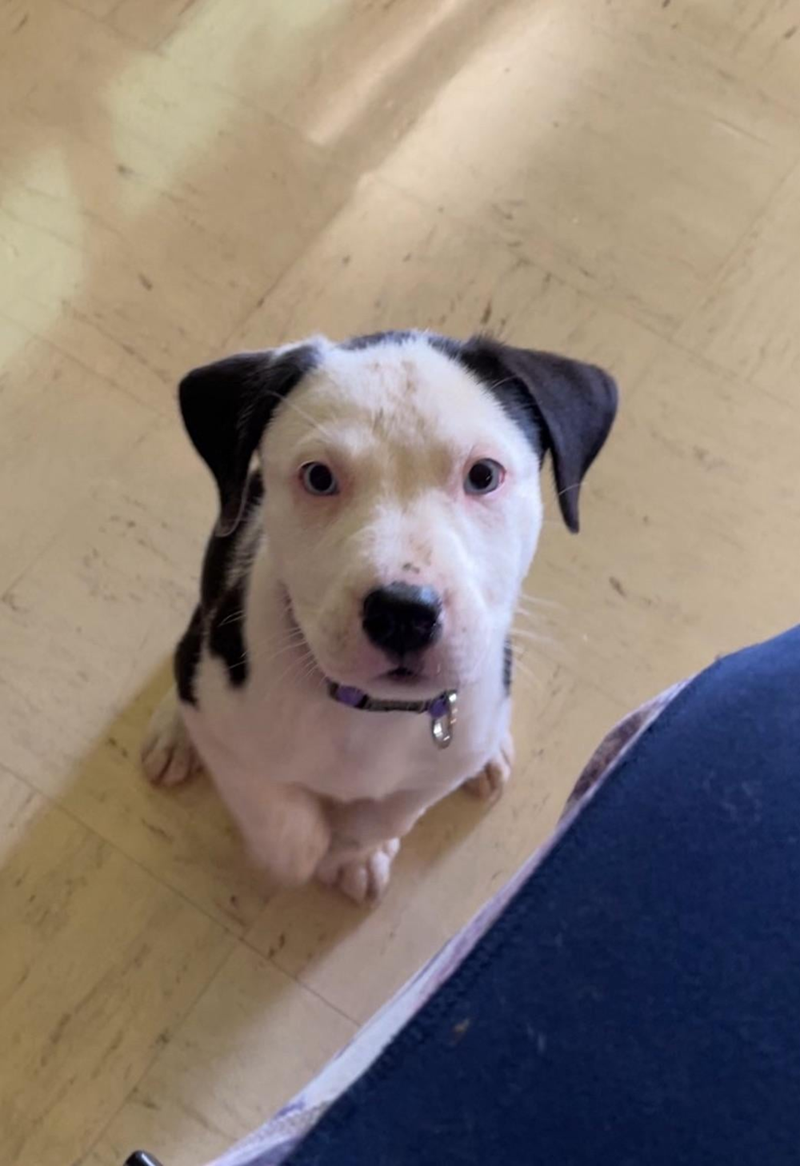 Cheezburger Image 10606820096