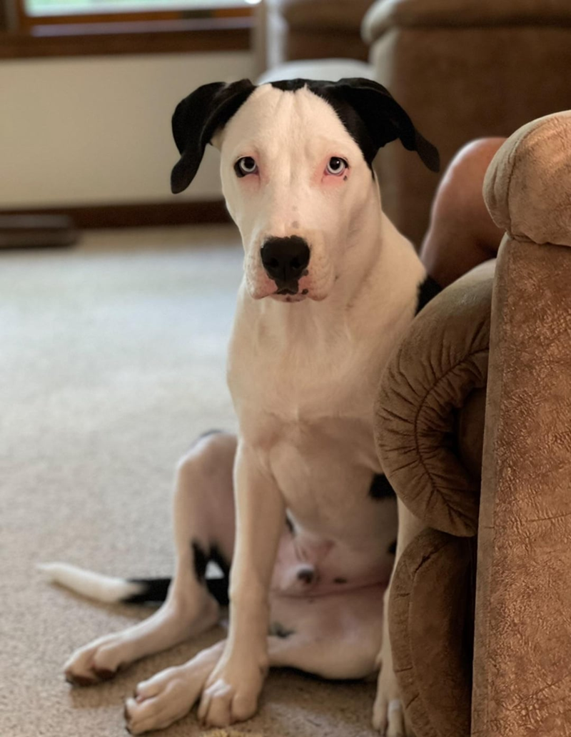 Cheezburger Image 10606821120