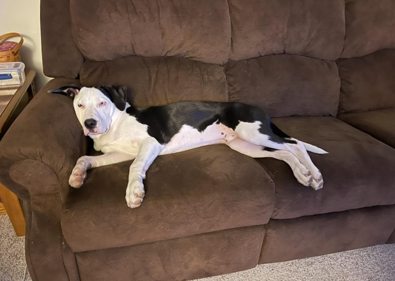 Cheezburger Image 10606821888