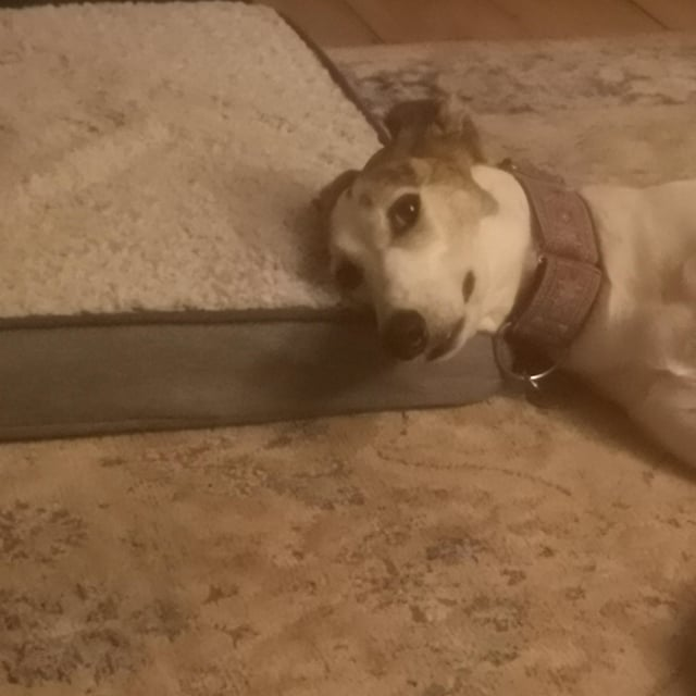 Cheezburger Image 10606823936