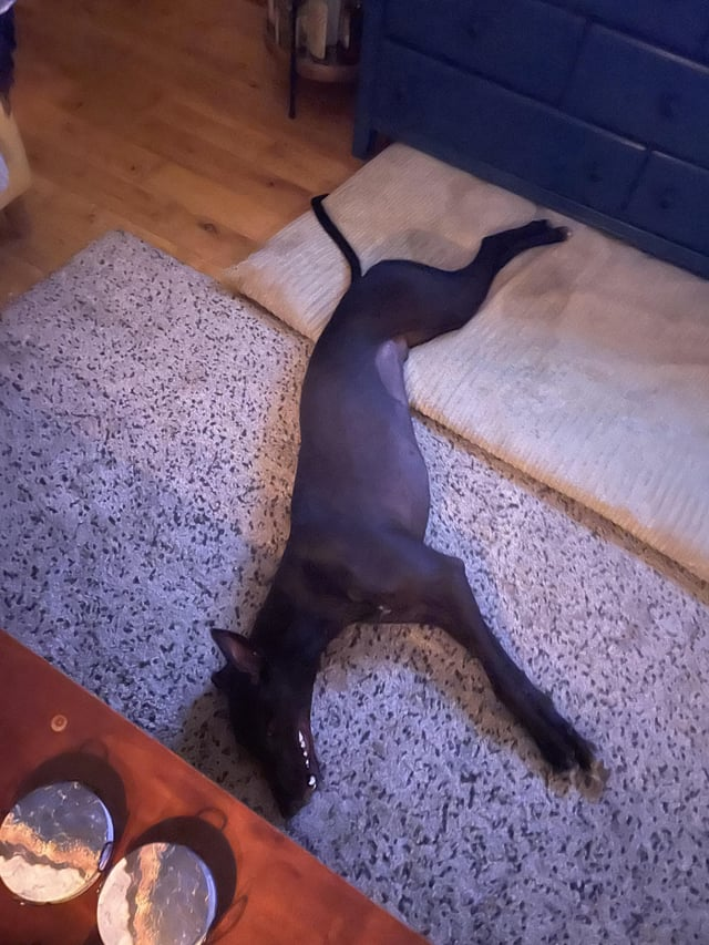 Cheezburger Image 10606824960