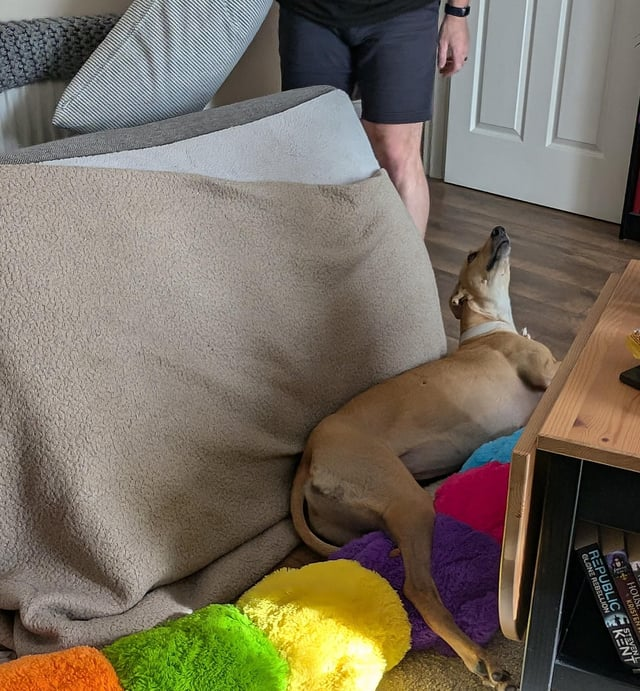 HOU KRISTEN REPUBLIC CLONE REBELLION STEVEN KENT