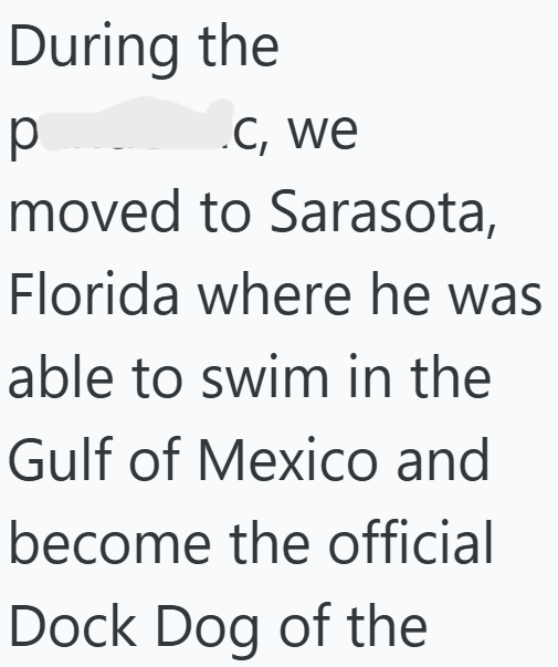 During the р .C, we moved to Sarasota, Florida where he was able to swim in the Gulf of Mexico and become the official Dock Dog of the
