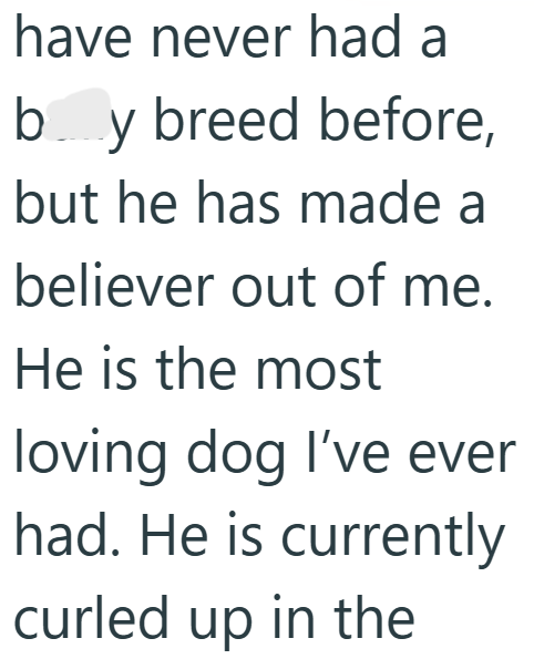 have never had a by breed before, but he has made a believer out of me. He is the most loving dog I've ever had. He is currently curled up in the
