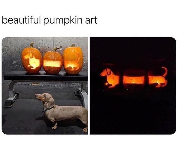 beautiful pumpkin art