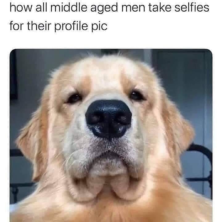 how all middle aged men take selfies for their profile pic