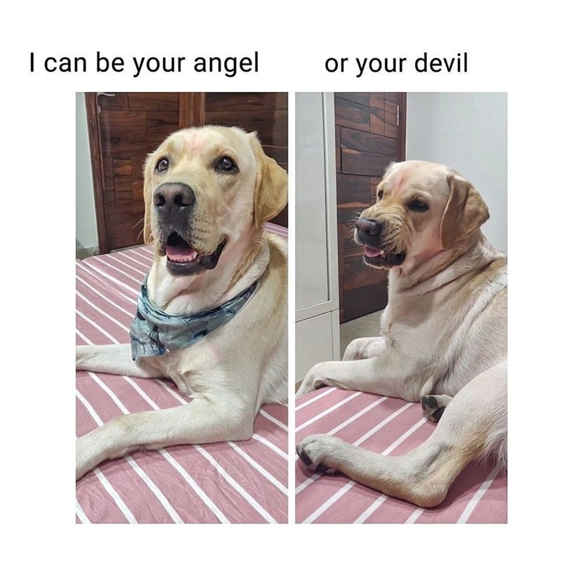 I can be your angel or your devil