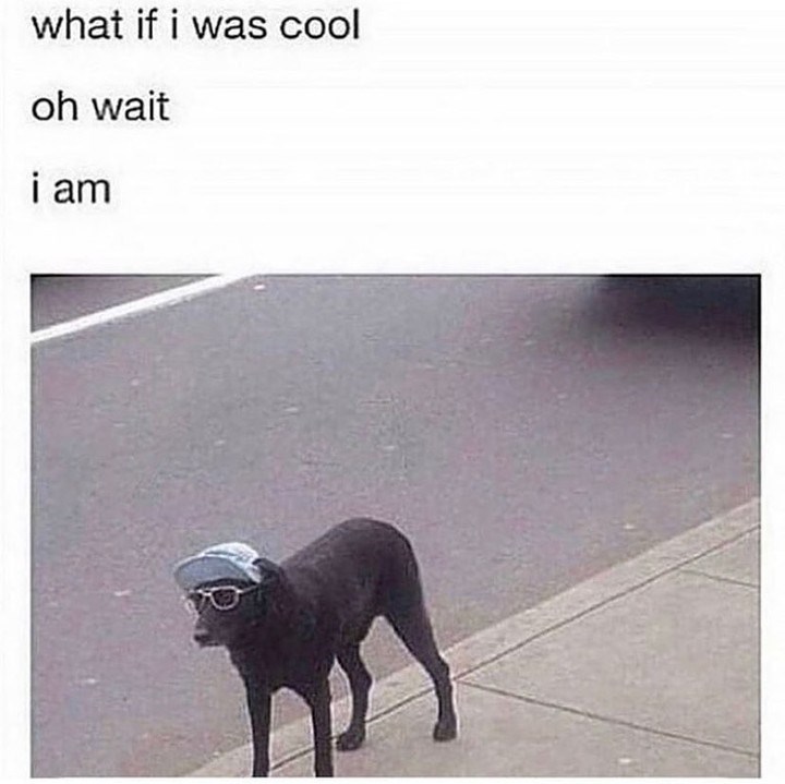 what if i was cool oh wait i am