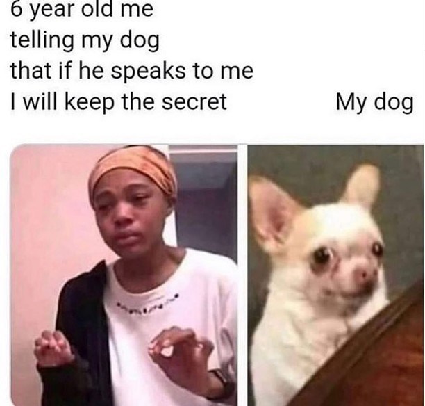 6 year old me telling my dog that if he speaks to me I will keep the secret My dog