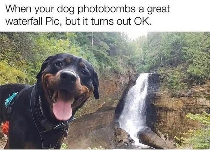 When your dog photobombs a great waterfall Pic, but it turns out OK.