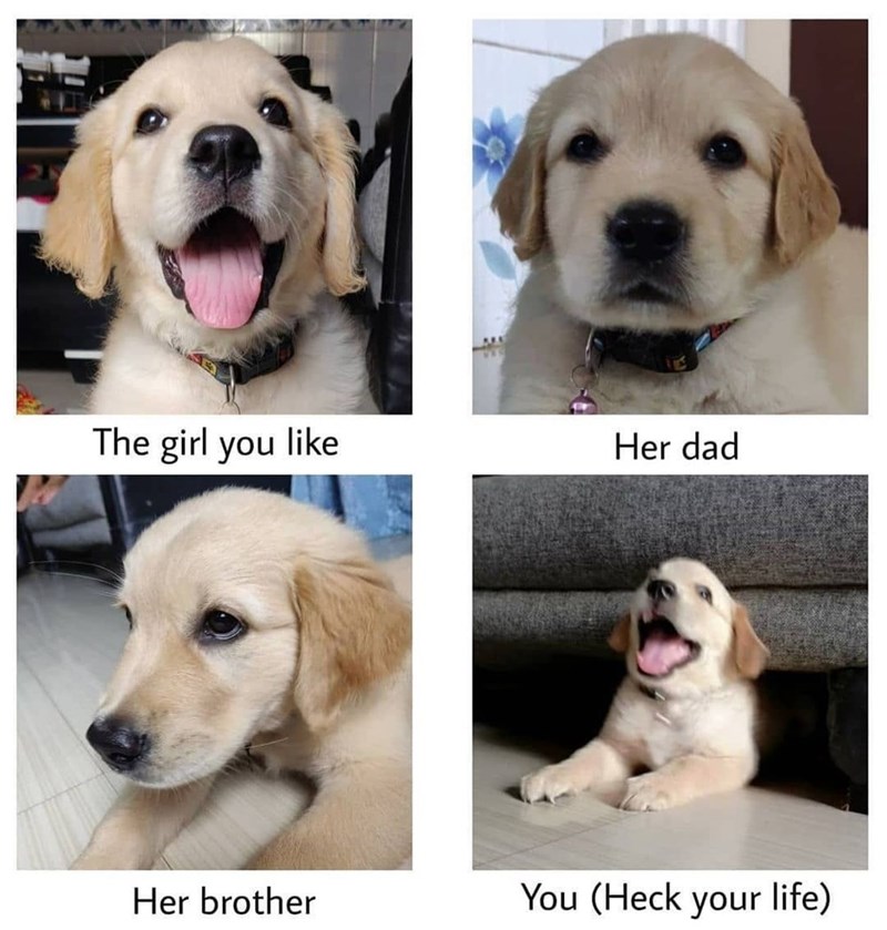 The girl you like Her dad Her brother You (Heck your life)