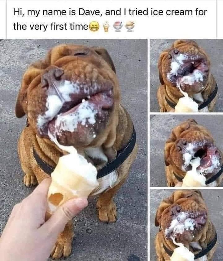 Hi, my name is Dave, and I tried ice cream for the very first time