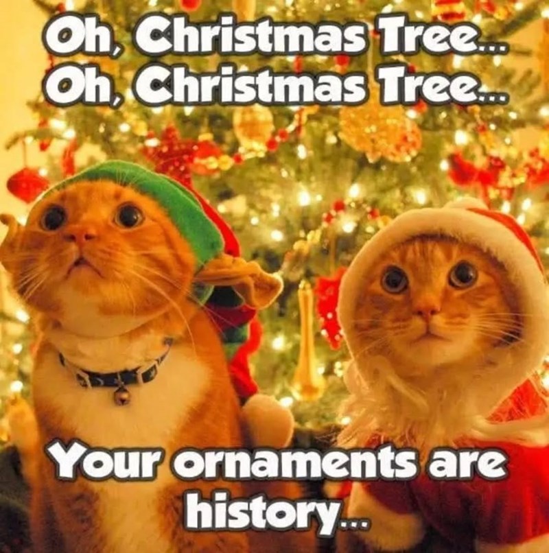 Oh, Christmas Tree.. Oh, Christmas Tree... Your ornaments are history...
