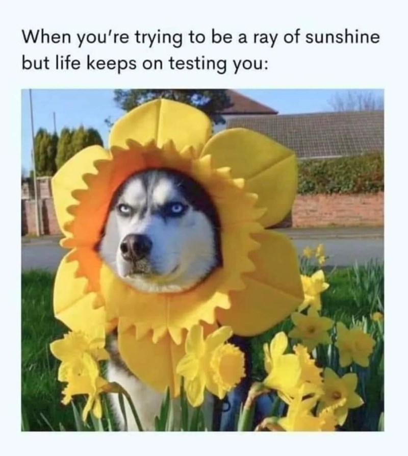 When you're trying to be a ray of sunshine but life keeps on testing you: