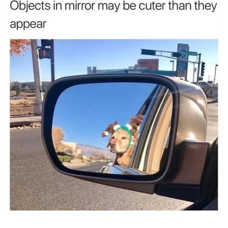 Objects in mirror may be cuter than they appear wwwww
