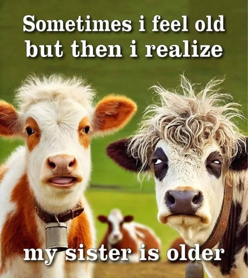 Sometimes i feel old but then i realize my sister is older