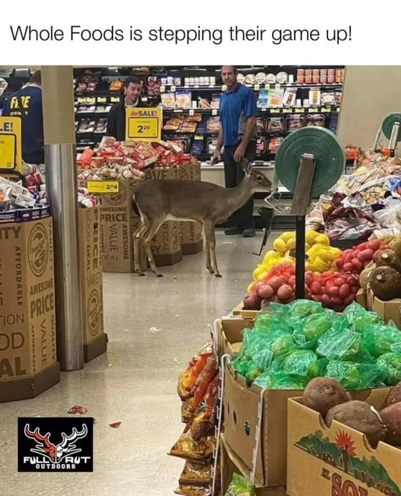 Whole Foods is stepping their game up! LE! FARE PreSALE! 229 TY 2/4 AVE TAS AWESOME PRICE VALUE AWESOME RICE OOD AFFORDABLE TION OD AL AWESOME PRICE AFFORDABLE VALUE VARET FULL RUT OUTDOORS