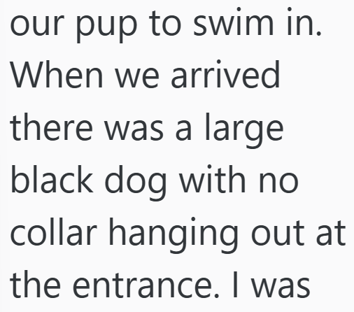 Cheezburger Image 10607177216