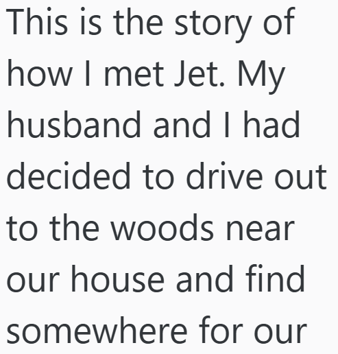 Cheezburger Image 10607177472