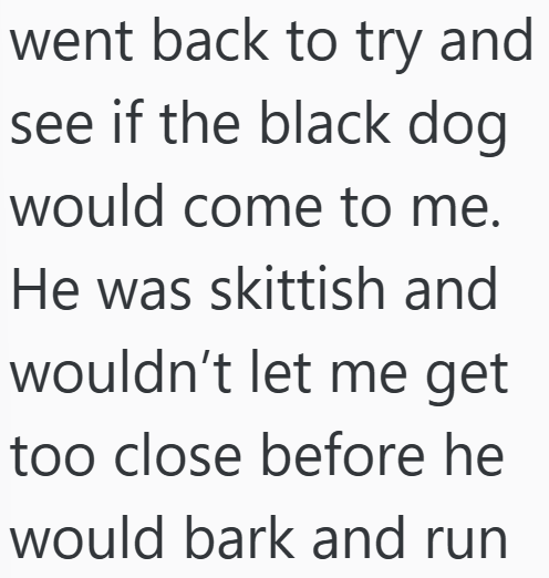 Cheezburger Image 10607178496