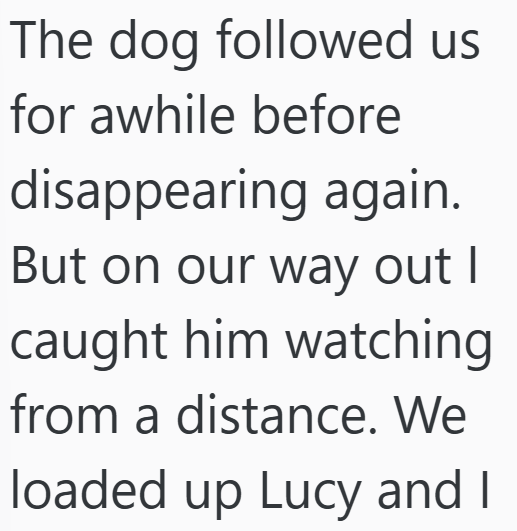 Cheezburger Image 10607178752