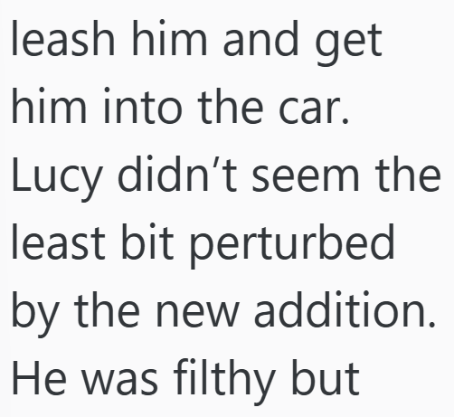 Cheezburger Image 10607179264