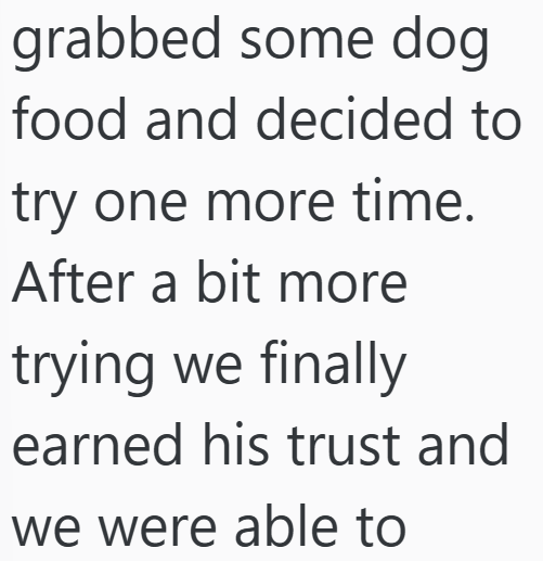 Cheezburger Image 10607179520