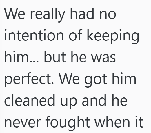 Cheezburger Image 10607180288