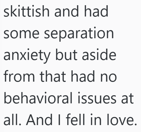 Cheezburger Image 10607180800