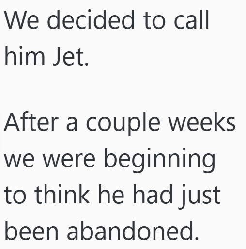 Cheezburger Image 10607181056