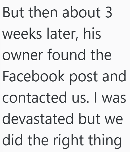 Cheezburger Image 10607182080