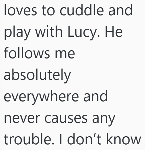 Cheezburger Image 10607182592