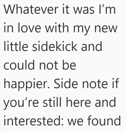 Cheezburger Image 10607183104