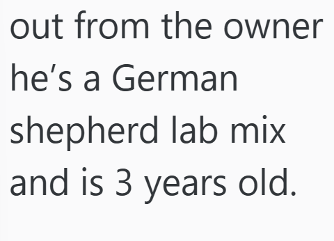 Cheezburger Image 10607183360