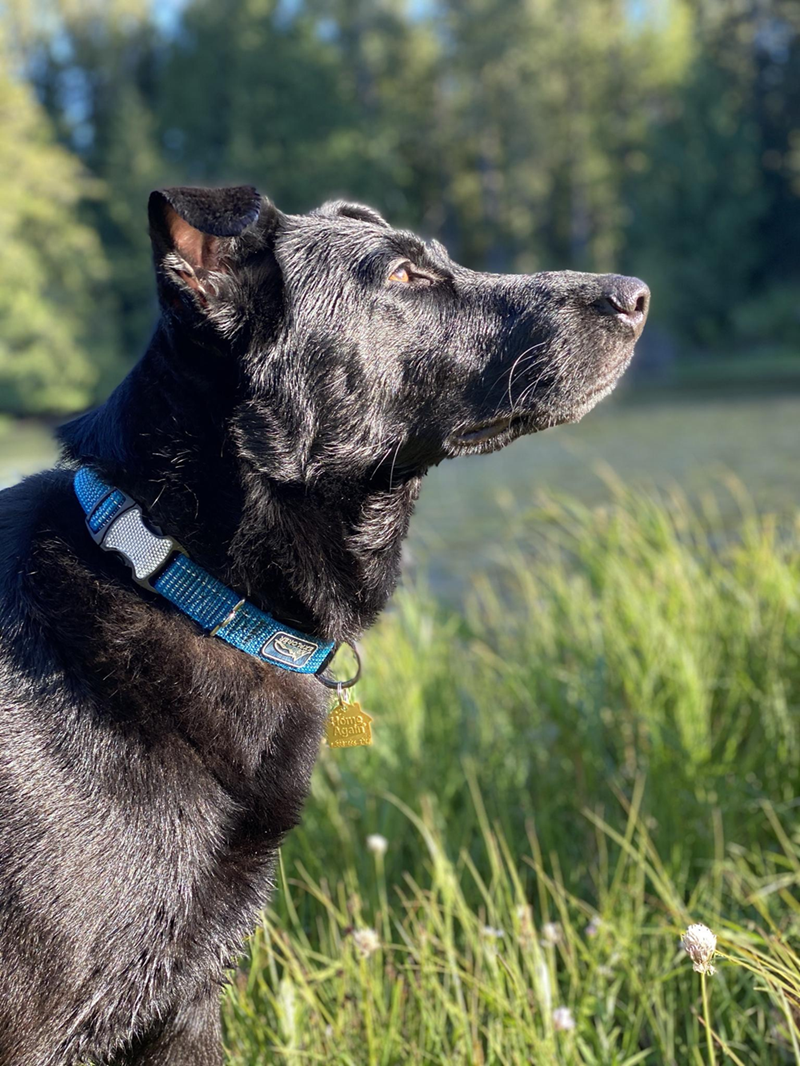 Cheezburger Image 10607184384