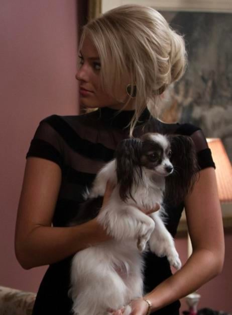 Cheezburger Image 10607184640