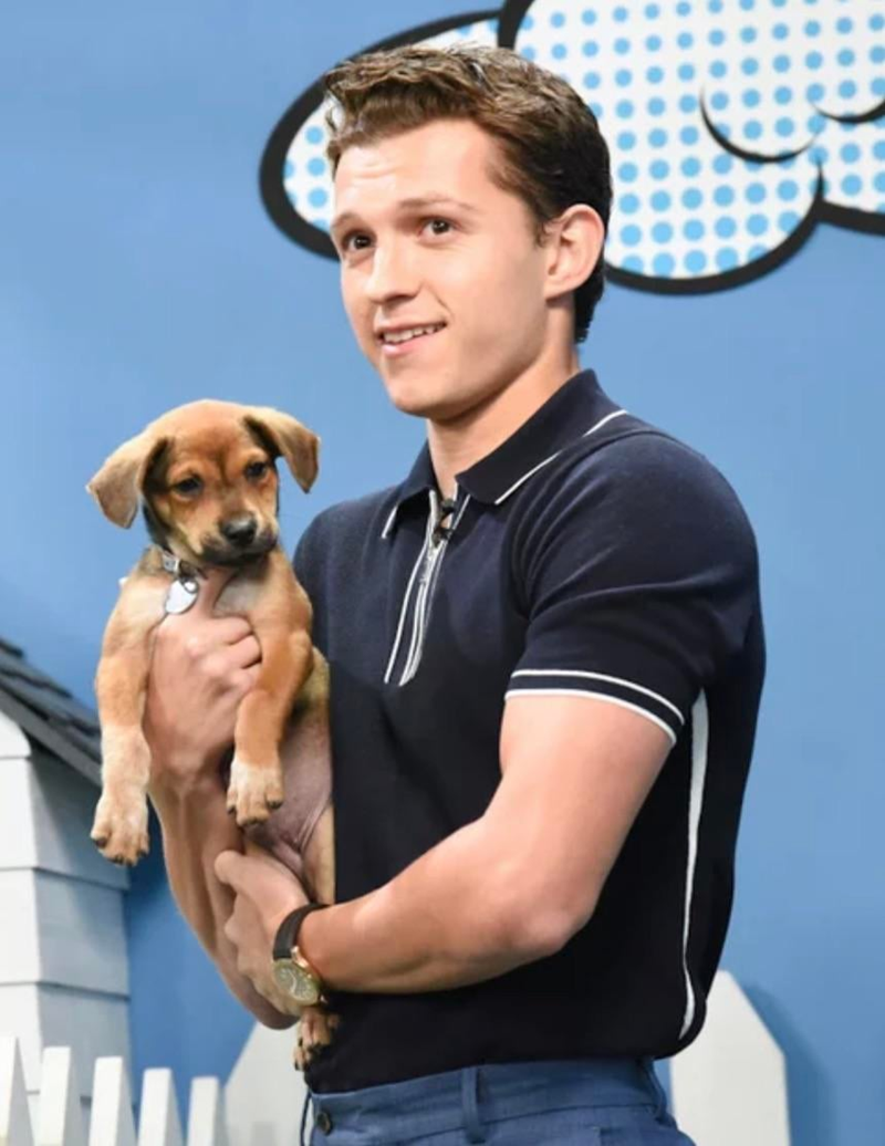 Cheezburger Image 10607185152