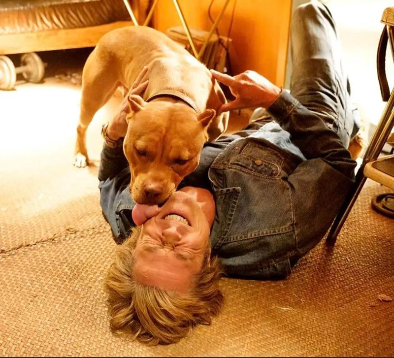 Cheezburger Image 10607185408