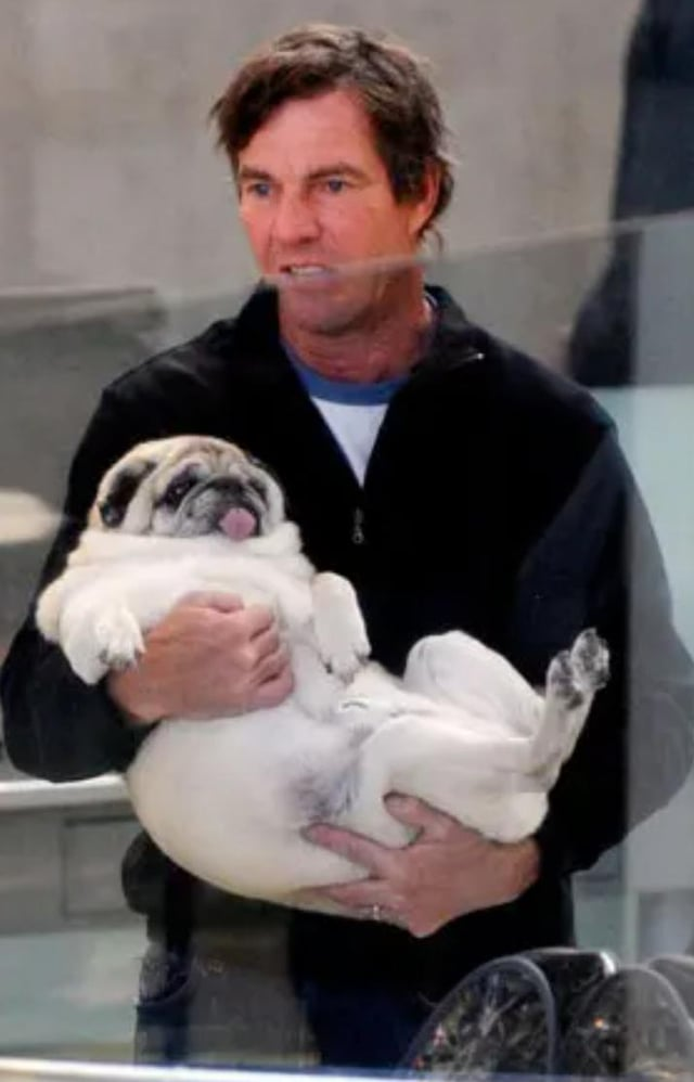 Cheezburger Image 10607185664