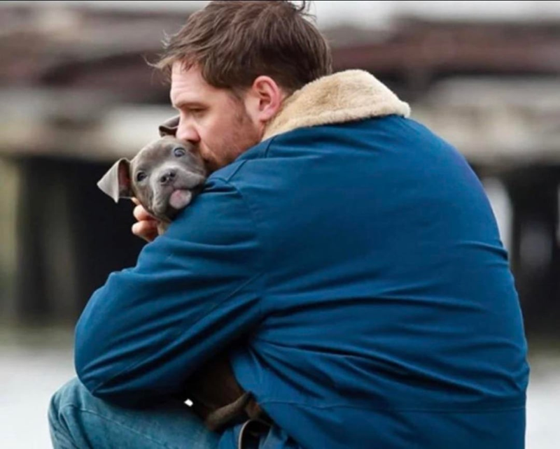 Cheezburger Image 10607186176