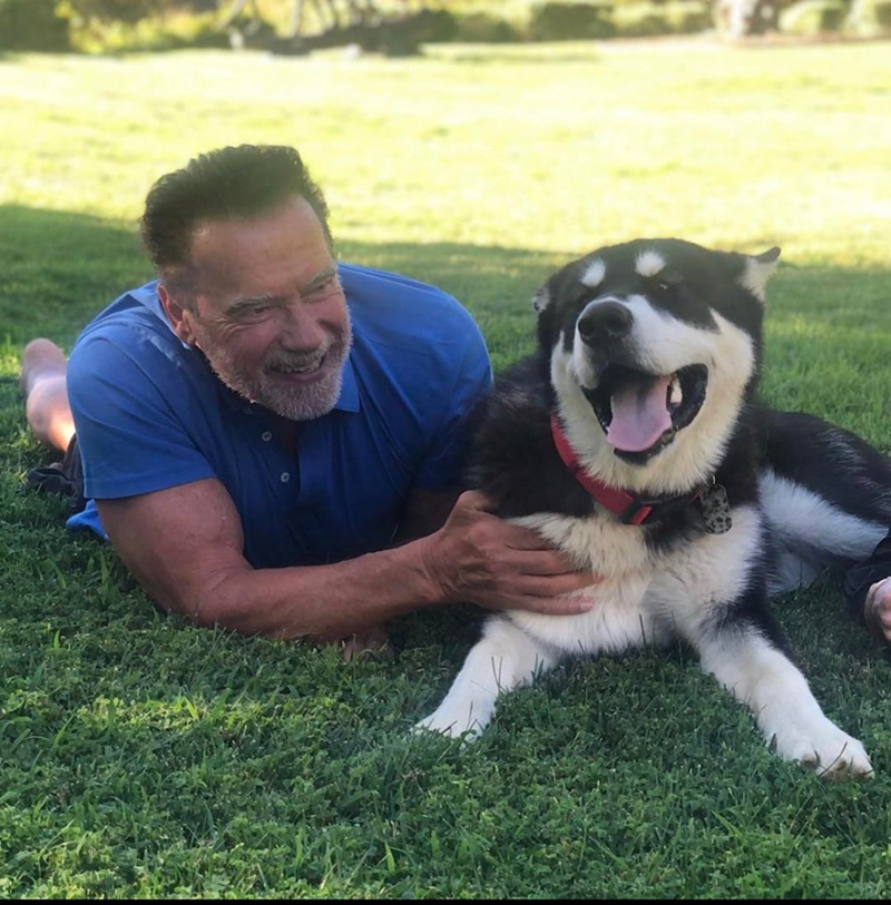 Cheezburger Image 10607186432